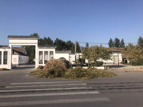 秸稈亂堆現(xiàn)象嚴(yán)重 秸稈亂堆現(xiàn)象嚴(yán)重
