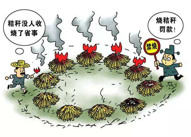 國家采取相應(yīng)措施應(yīng)對秸稈焚燒 國家采取相應(yīng)措施應(yīng)對秸稈焚燒