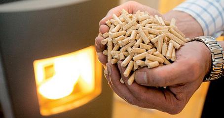 生物質(zhì)顆粒燃料 生物質(zhì)顆粒燃料