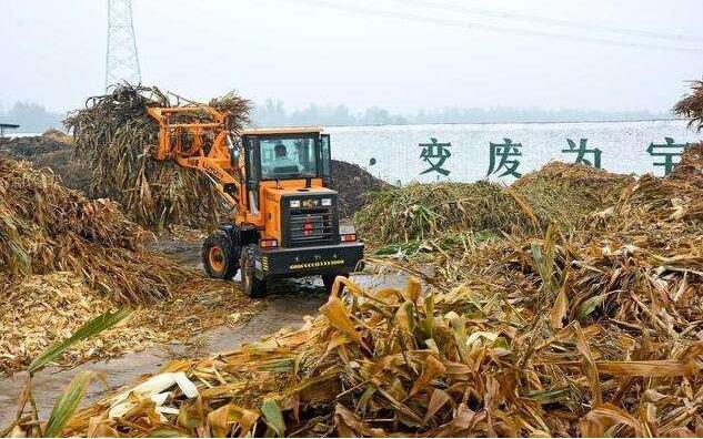 黑龍江秸稈顆粒機原料.jpg 黑龍江秸稈顆粒機原料.jpg