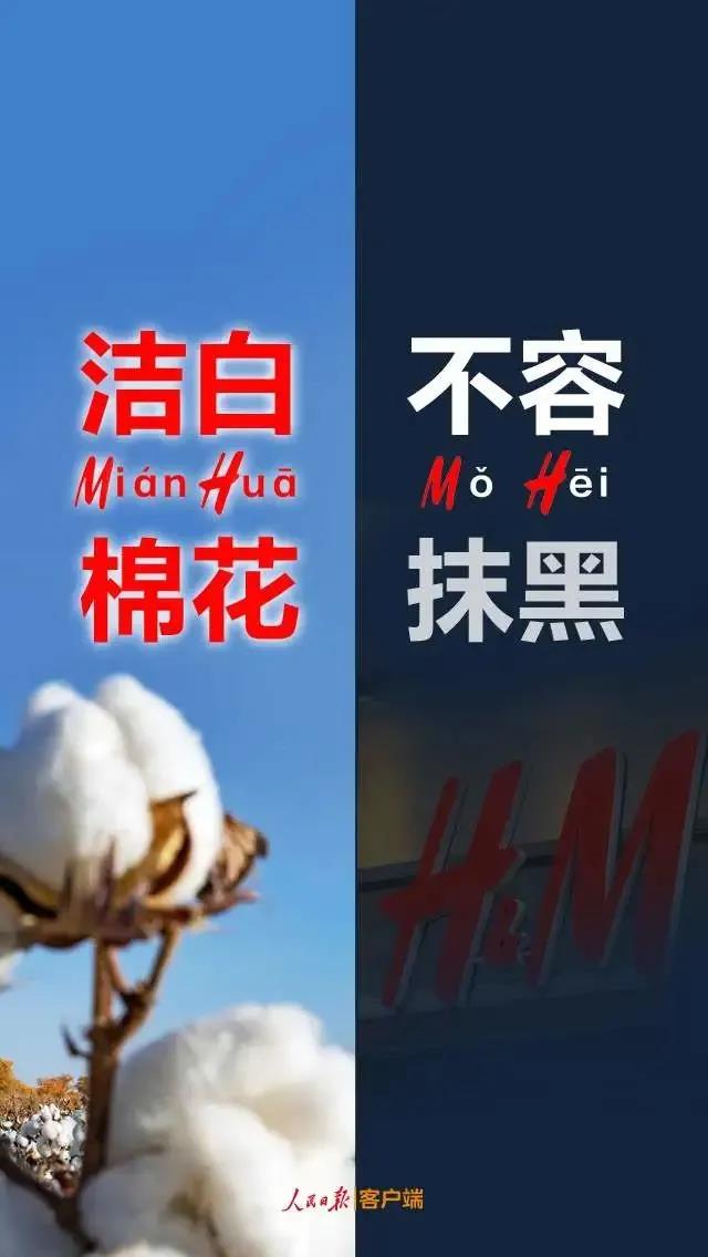 潔白棉花，不容抹黑