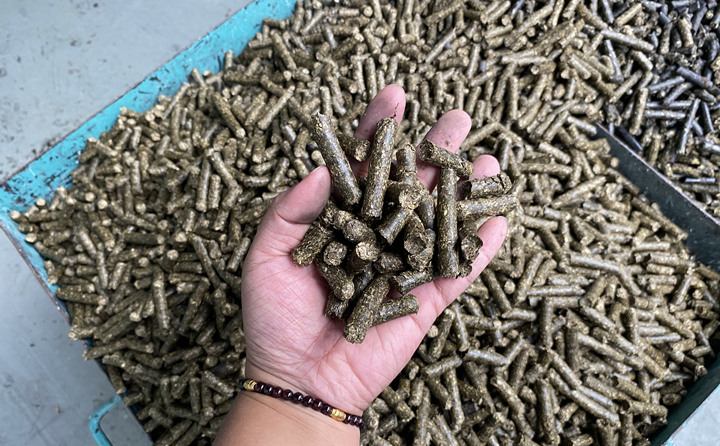 木屑制粒機(jī)的生物質(zhì)顆粒燃料.jpg 木屑制粒機(jī)的生物質(zhì)顆粒燃料.jpg