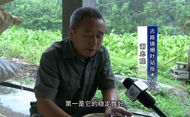 緊緊抓住木屑造粒機(jī)生物質(zhì)顆粒燃料加工場(chǎng)地建設(shè)項(xiàng)目落地的契機(jī)，找準(zhǔn)結(jié)合點(diǎn)，推動(dòng)共和綜合服務(wù)型煙農(nóng)專(zhuān)業(yè)合作社與生物質(zhì)顆粒燃料加工廠的緊密合作.jpg