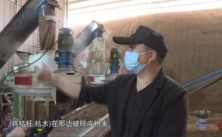將桔桿、枯木在那邊破碎成粉末，然后經過這兩個造粒機的碾壓，形成這種顆粒燃料出來，形成最后的產品.jpg