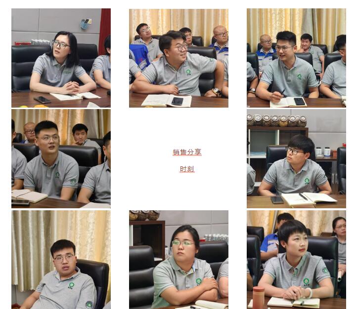 銷售精英們結(jié)合自己特點(diǎn)進(jìn)行工作匯報(bào)。.jpg